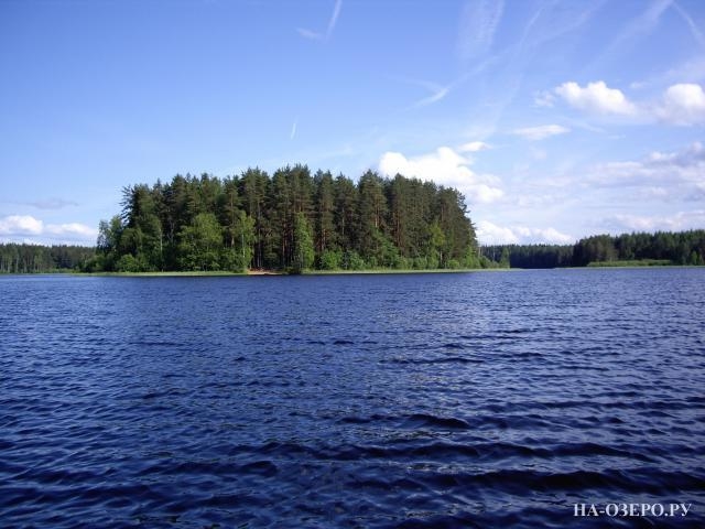 Коттедж на озере Волчино №237