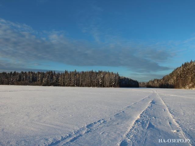 Коттедж на озере Пайкъярви №425