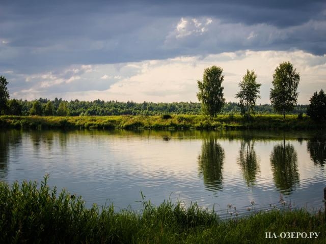 Коттедж на озере Чижковское №439