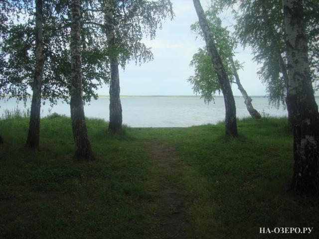 Дом на озере Сугояк №464