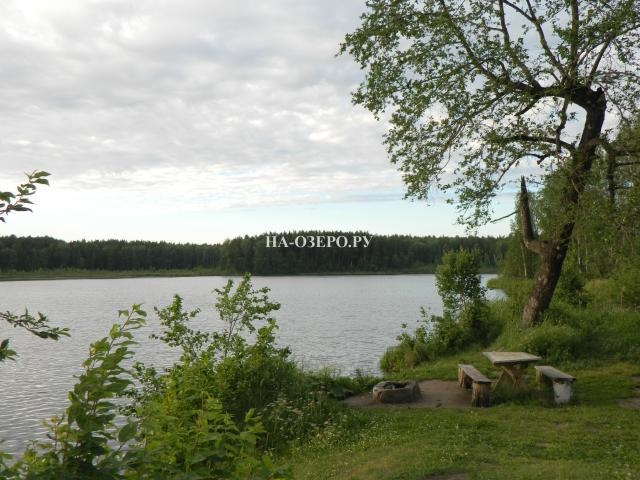 Дом на озере Доронькино №6