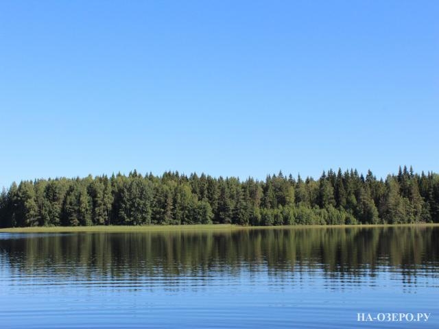 Коттедж на озере Пайкъярви №476