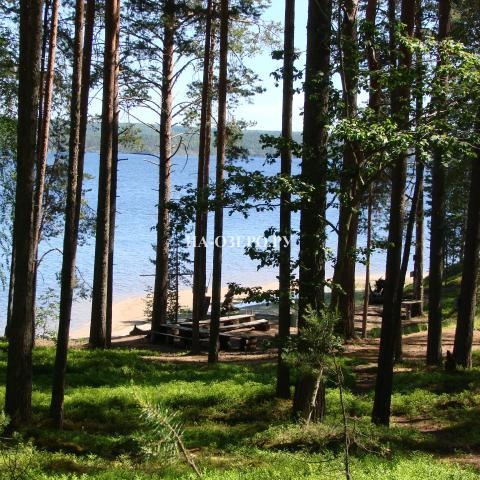 Коттедж на озере Онежское №493