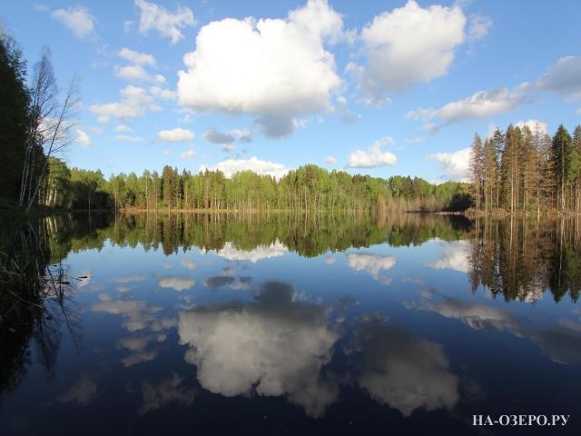 Коттедж на озере Ручейское №509