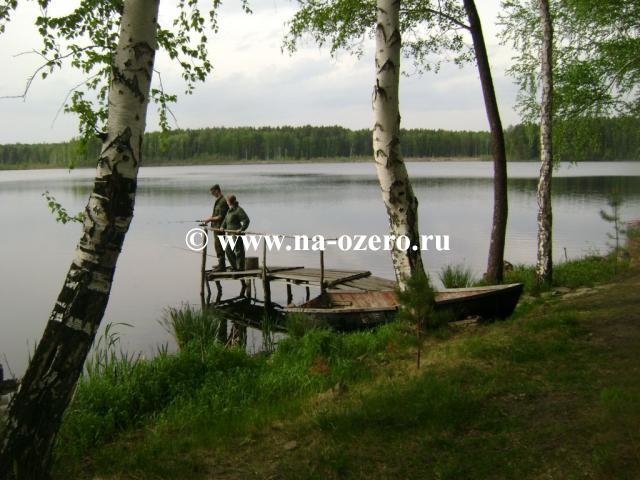 Дом на озере Доронькино №6