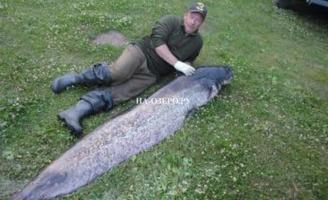 молога рыбалка охота