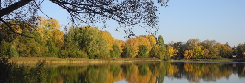 Отдых на озерах Нижнего Новгорода
