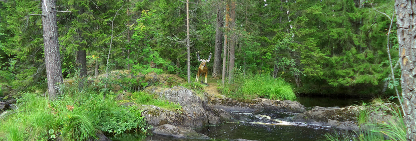 Водопады Карелии