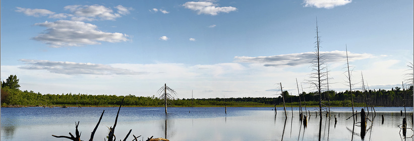 Сюрзи, озеро в Архангельской области