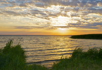 Озеро Плещеево, рыбалка