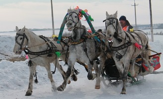 Отдых зимой в России